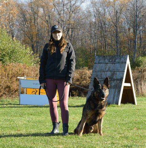 shield k9|shield k9 online dog training.